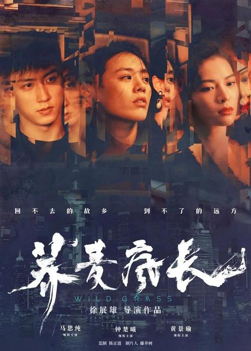 仿制加拿大驾照